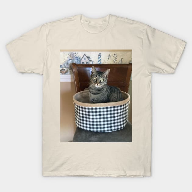 Kitty in a Basket T-Shirt by Amanda1775